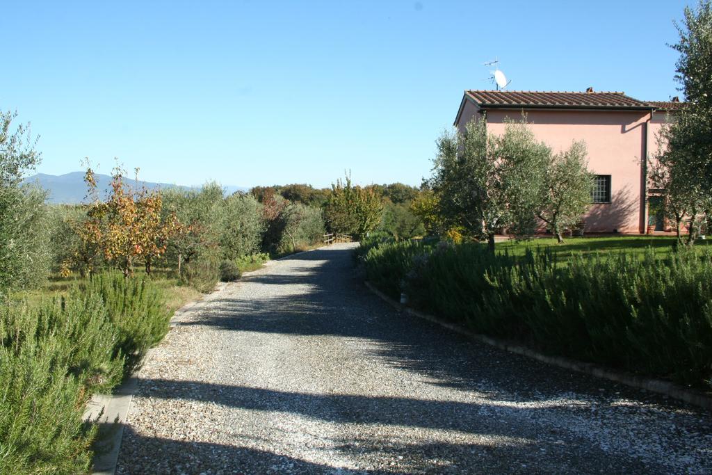 Agriturismo Gli Archi Fauglia 外观 照片