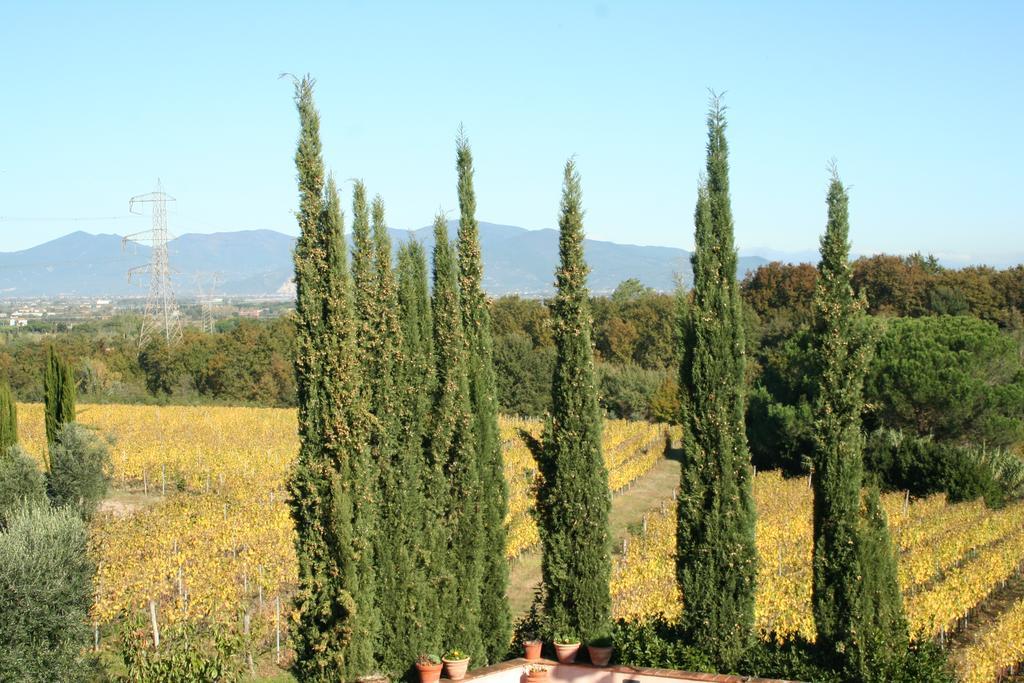 Agriturismo Gli Archi Fauglia 外观 照片