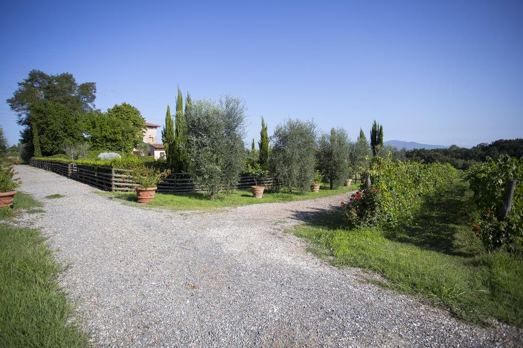 Agriturismo Gli Archi Fauglia 外观 照片