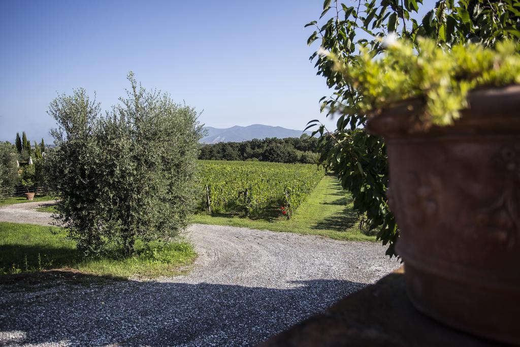 Agriturismo Gli Archi Fauglia 外观 照片