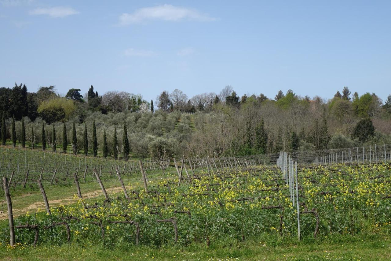 Agriturismo Gli Archi Fauglia 外观 照片