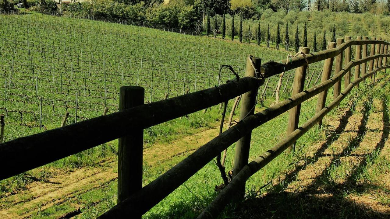 Agriturismo Gli Archi Fauglia 外观 照片
